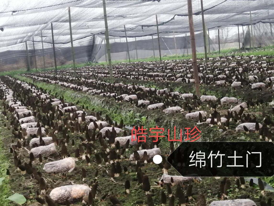 &#24517;&#36194;&#22312;&#32447;&#23458;&#26381;&#45;&#24517;&#36194;&#40;&#20013;&#22269;&#41;