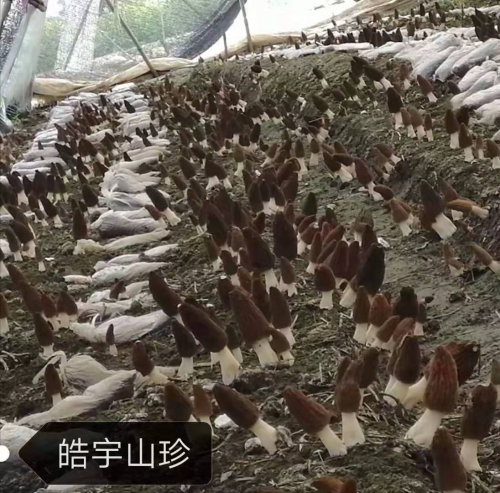 &#24517;&#36194;&#22312;&#32447;&#23458;&#26381;&#45;&#24517;&#36194;&#40;&#20013;&#22269;&#41;