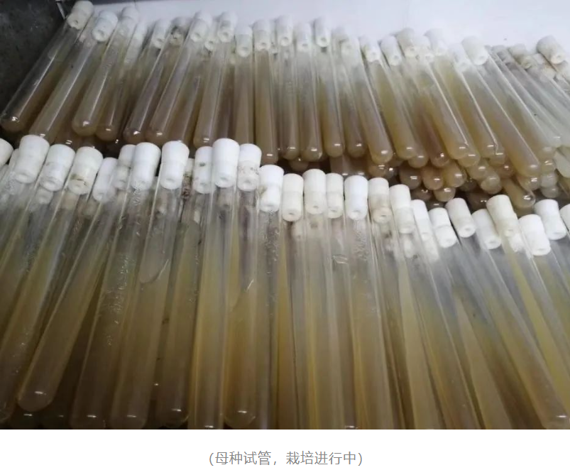 &#24517;&#36194;&#22312;&#32447;&#23458;&#26381;&#45;&#24517;&#36194;&#40;&#20013;&#22269;&#41;